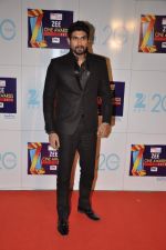 at Zee Awards red carpet in Mumbai on 6th Jan 2013 (45).JPG